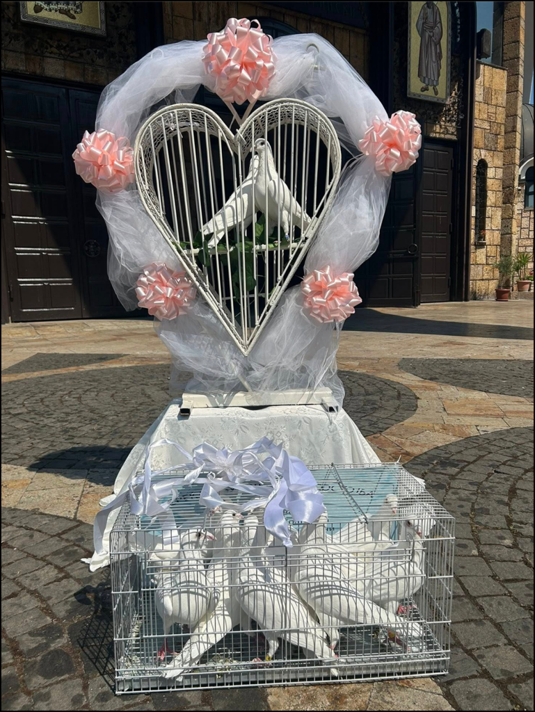 Секој бел гулаб носи порака за светла иднина и позитивни промени.