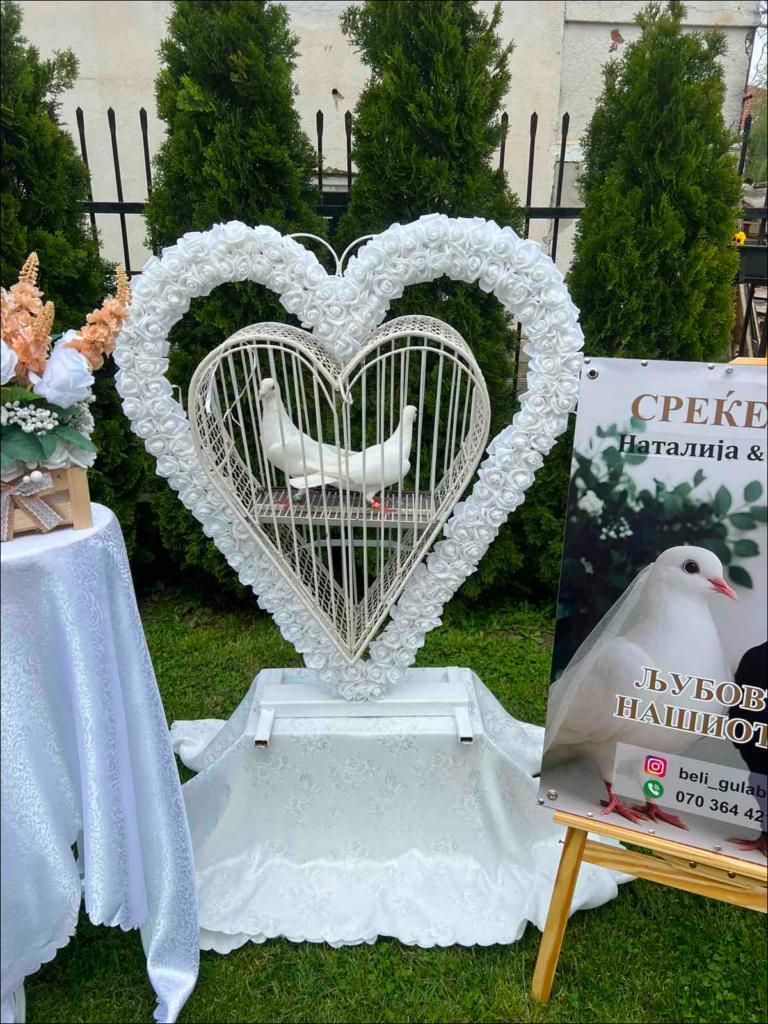 Пуштање бели гулаби на свадбена церемонија